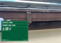 E1007002